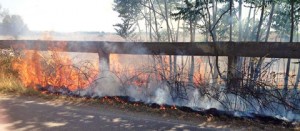L'incendio silla Litoranea