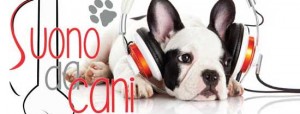 Suono da cani, sabato megaconcerto per il canile di Bagnaia