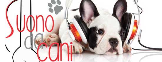 Suono da cani, sabato megaconcerto per il canile di Bagnaia
