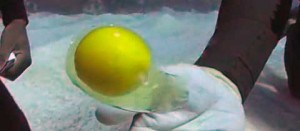 L'uovo rotto sott'acqua