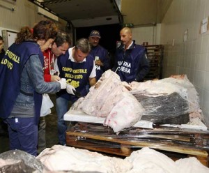 Il sequestro dello squalo elefante 