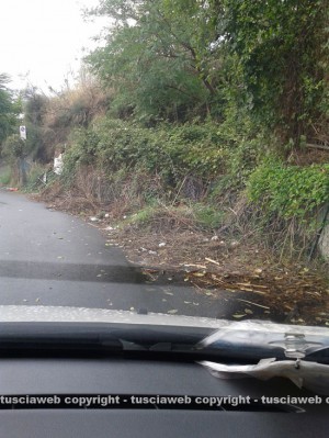 Le erbacce in via Ioppi