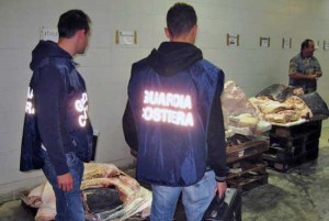 Il sequestro dello squalo elefante 