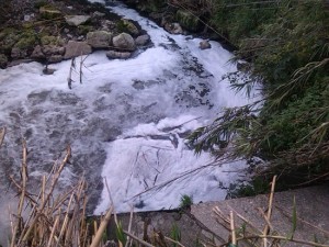 Le immagini dell'acqua coperta di schiuma appena fuori dal depuratore cittadino
