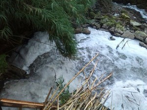 Le immagini dell'acqua coperta di schiuma appena fuori dal depuratore cittadino
