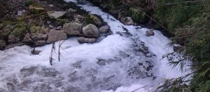 Le immagini dell'acqua coperta di schiuma appena fuori dal depuratore cittadino