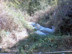 Rifiuti in strada Caselle