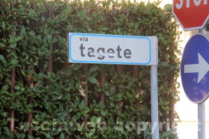 Via Tagete