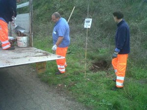 La pulizia di strada Signorino