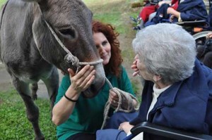 L'incontro con gli asinelli