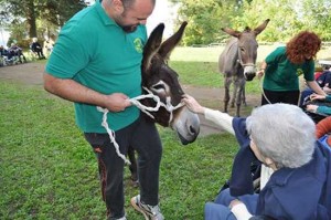 L'incontro con gli asinelli