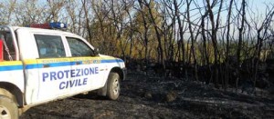 L'Asvom in azione