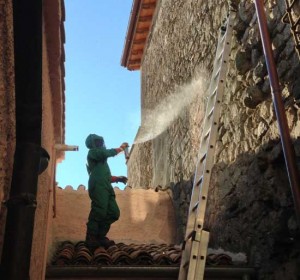 La bonifica dei calabroni