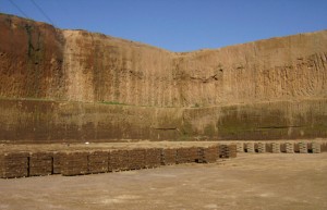 La cava di tufo in località Poggio Mentuccia, a Corchiano