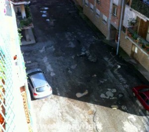 Le buche sulla strada