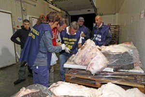 I controlli svolti durante l'operazione autunno