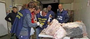I controlli svolti durante l'operazione autunno