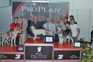 Flight of angels sul gradino più alto della Pro plan cup di Messina  