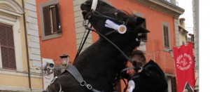 Il cavallo durante la festa di Sant'Antonio