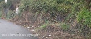 Le erbacce in via Ioppi