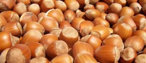 Nocciole