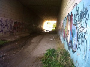Il tunnel ripulito da Viterbo civica