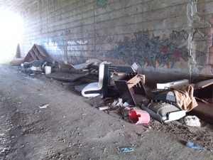 I rifiuti sotto il ponte prima di essere rimossi da Viterbo civica