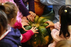 La zucca dell’orto della scuola San Sisto