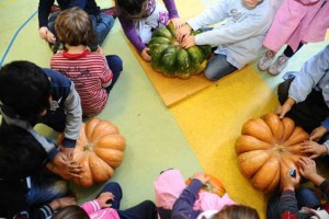 La zucca dell’orto della scuola San Sisto