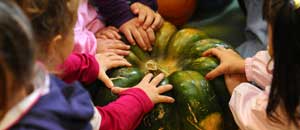 La zucca dell’orto della scuola San Sisto