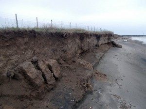 L'erosione alle Saline di Tarquinia
