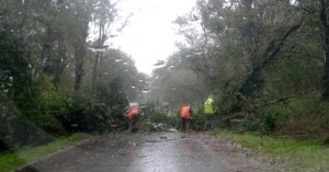 La strada provinciale Valle di vico - La foto è stata inviata da Fernando Nobili 