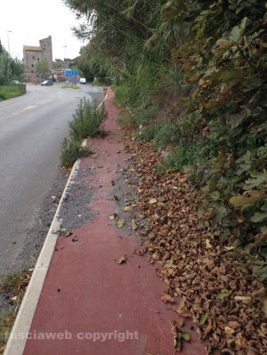 La pista ciclabile