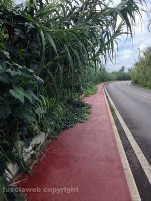 La pista ciclabile