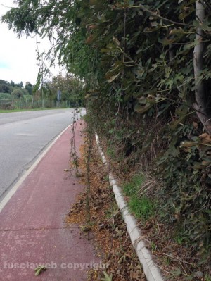 La pista ciclabile