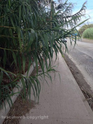 La pista ciclabile