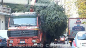 Il passaggio dell'albero di Natale 