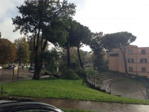 Un albero caduto sulla Cassia Sud 