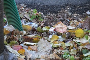 Bomba a mano in via Da Vinci 