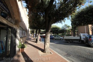 Montalto-di-Castro---Viale-alberato