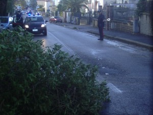 Alberi caduti sulla Verentana