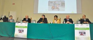 Ciambella, Federici e Sacchelli