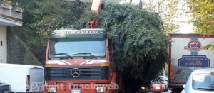 Il passaggio dell'albero di Natale