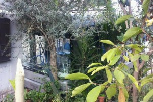 L'autobus nel cortile