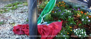 Bandiera a terra a pratogiardino "Lucio Battisti"