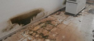 Borgo delle saline - Eco-albergo