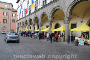 I mercati di campagna amica a piazza del Comune 