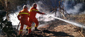 Spento incendio sull'Aurelia