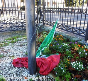 Bandiera a terra a pratogiardino "Lucio Battisti"