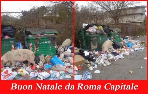 Lo scatto di "Roma fa schifo", con i maiali che rovistano tra i rifiuti